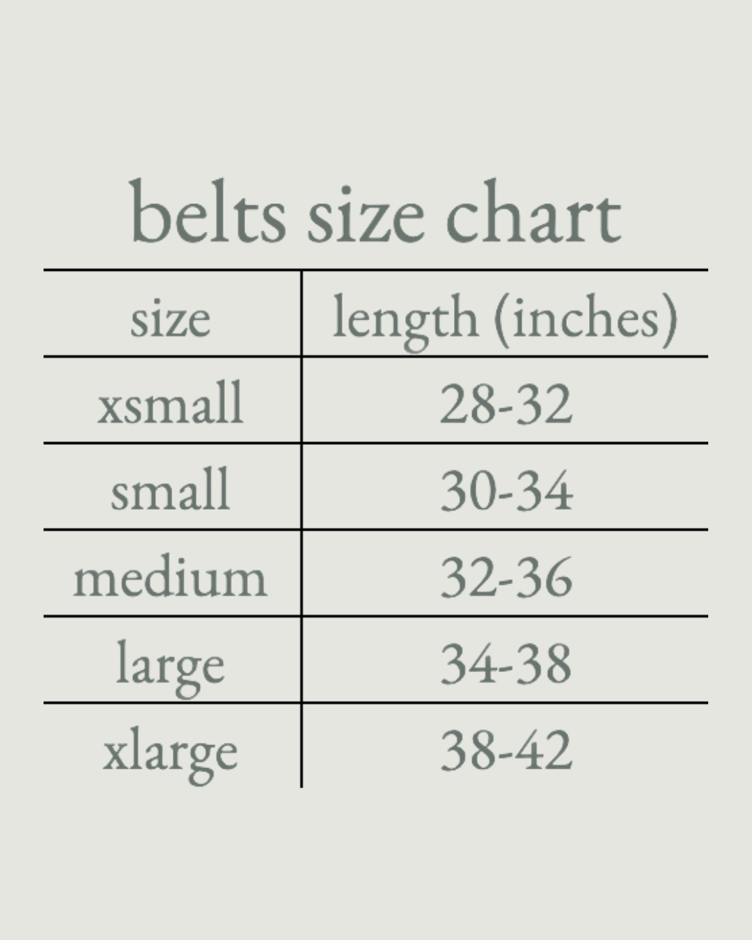 17 Belt